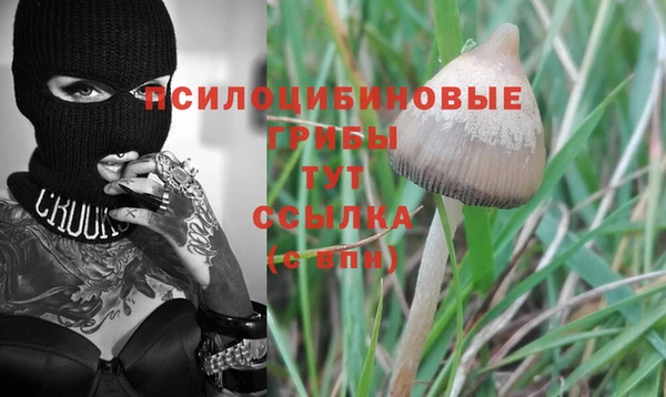 дживик Саяногорск