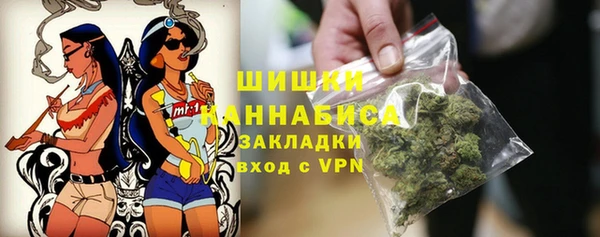 индика Абдулино