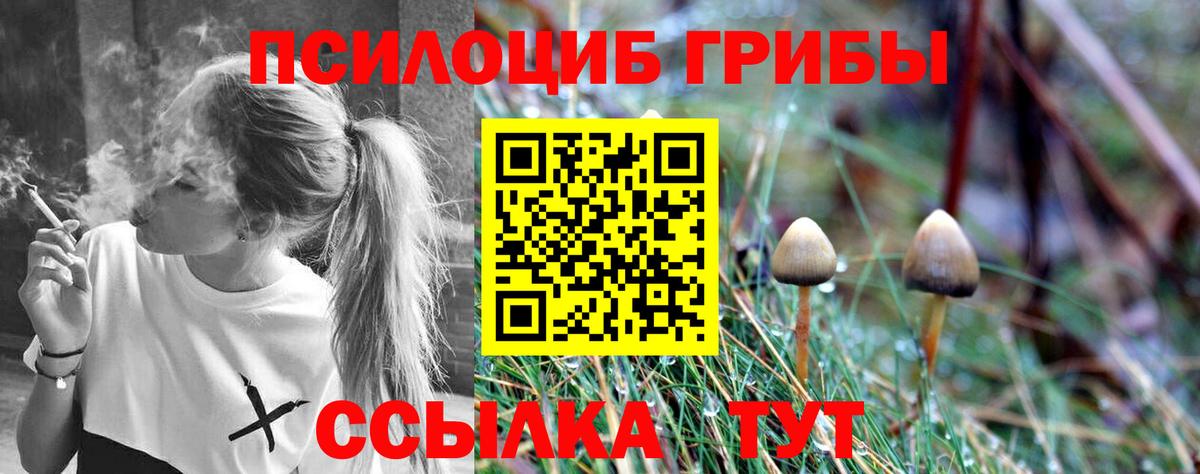 Псилоцибиновые грибы мухоморы  купить наркотик  Галлюциногенные грибы прущие грибы  Канск  Вход с VPN 